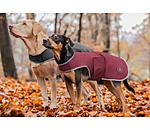 Softshell Dog Coat Athlete, 0g
