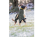 Softshell Dog Coat Athlete, 0g