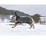 Softshell Dog Coat Athlete, 0g