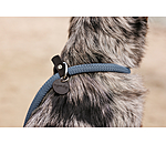 Retriever Lead Rope