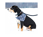 Retriever Lead Rope