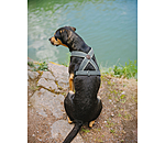 Dog Harness Piper