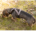 Dog Harness Piper