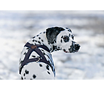 Dog Harness Piper