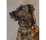 Leather Dog Collar Romy