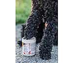 Paw Protection Dog Balm Soft Velvet