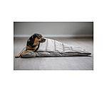 Dog Sleeping Bag Adventure Seeker