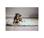 Dog Sleeping Bag Adventure Seeker