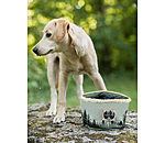 Canvas Dog Travel Bowl Adventure Seeker