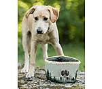 Canvas Dog Travel Bowl Adventure Seeker