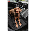 Universal Back Seat Protector Road Trip For Dogs