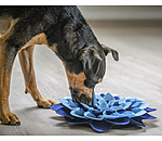 Sniffing Rug for Dogs