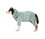 Dog Bathrobe Allover Dry