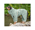 Dog Bathrobe Allover Dry