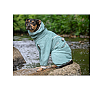 Dog Bathrobe Allover Dry