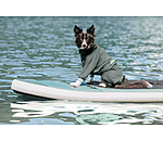 Dog Bathrobe Allover Dry