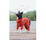 Dog Bathrobe Allover Dry