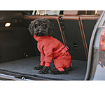 Dog Bathrobe All-Over Dry