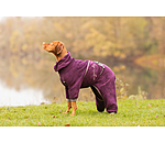 Dog Bathrobe All-Over Dry