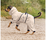 Dog Bathrobe Allover Dry