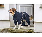 Dog Bathrobe Allover Dry