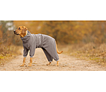 Dog Bathrobe All-Over Dry