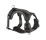 Seconds:  Dog Harness with Wrist Strap Adventure Seeker