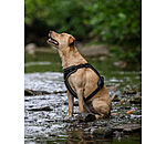 Seconds:  Dog Harness with Wrist Strap Adventure Seeker