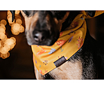 Reversible Dog Scarf Emil