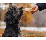 Beef Ears Dog Snack