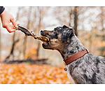 Beef Tripe Dog Snack