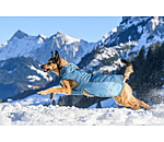 Winter Coat Glacier Bay with Teddy Fleece Lining, 100g