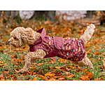 Rain Dog Coat Pumpkin Spice, 0g