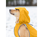 Rain Dog Coat Waterton Lakes, 0g