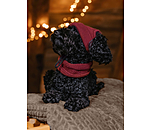 Knitted Dog Scarf Espi