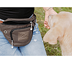 Dog Training Bum Bag Agility