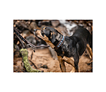 Leather Dog Collar Nashville