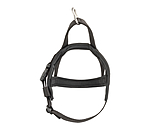 Norwegian Dog Harness Miley