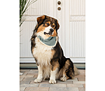 Dog Scarf Tribal Love
