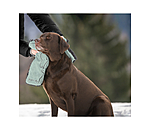 Multifunctional Towel Soulmate for Dogs