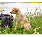 Multifunctional Towel Soulmate