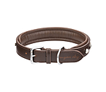 Leather Dog Collar Chinook