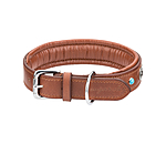 Leather Dog Collar Chinook