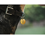 Charm for Dogs Travel Buddy