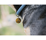 Charm for Dogs Travel Buddy