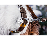Charm for Dogs Travel Buddy
