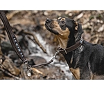 Beaded Leather Dog Lead Austin