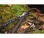 Beaded Leather Dog Lead Austin