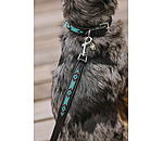 Beaded Leather Dog Lead Austin