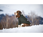 Sherpa Dog Jumper Eden